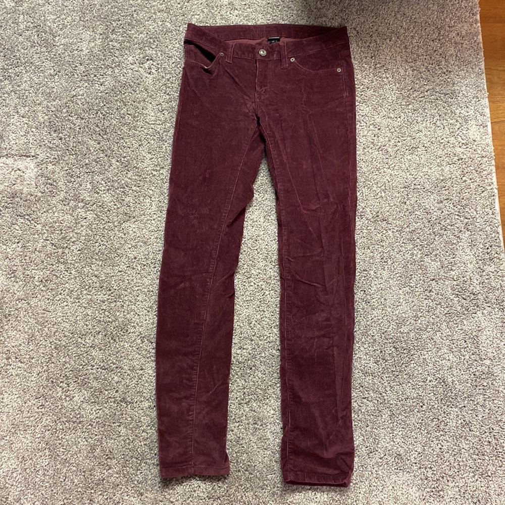 Patagonia pants